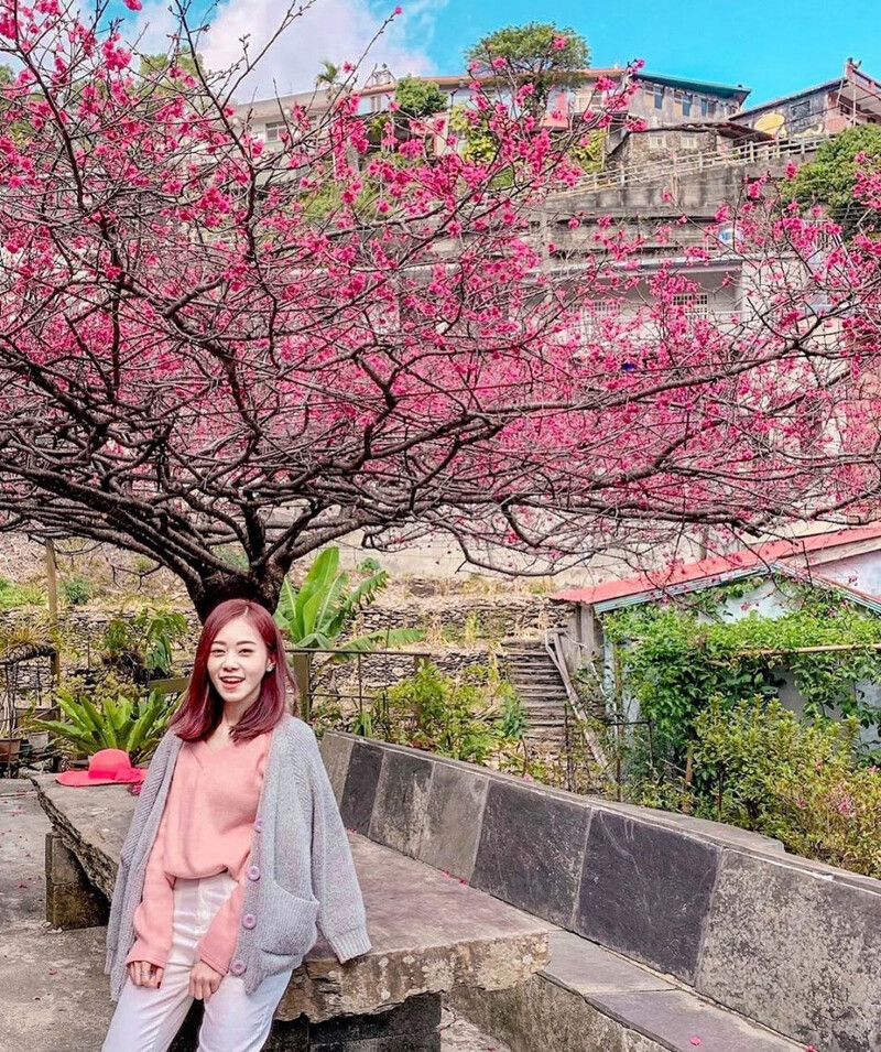 圖片來源：IG @honey82331