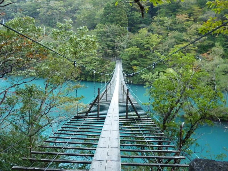 圖片來源:flickr/ RYO SATO 圖片來源:flickr/ RYO SATO