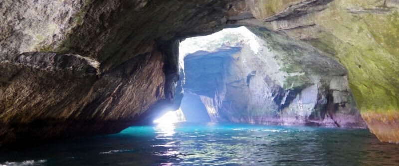 圖片來源:ゆうゆうネット伊豆 圖片來源:ゆうゆうネット伊豆