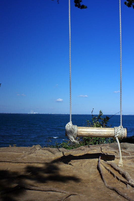 圖片來源:flickr/ Satoshi TAKEU 圖片來源:flickr/ Satoshi TAKEU