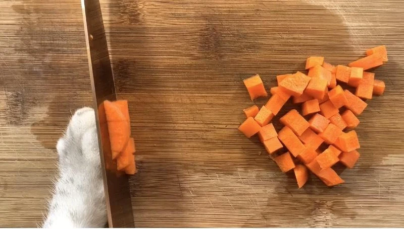 料理貓王@小紅書