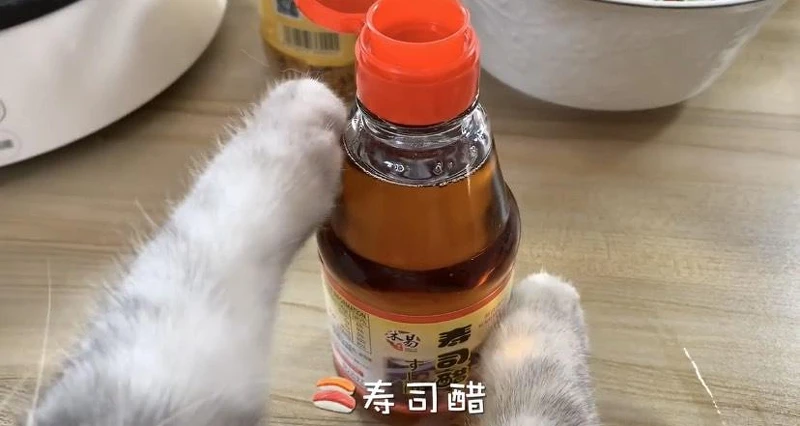 料理貓王@小紅書