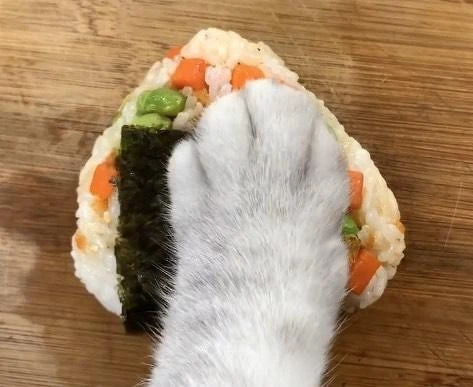 料理貓王@小紅書