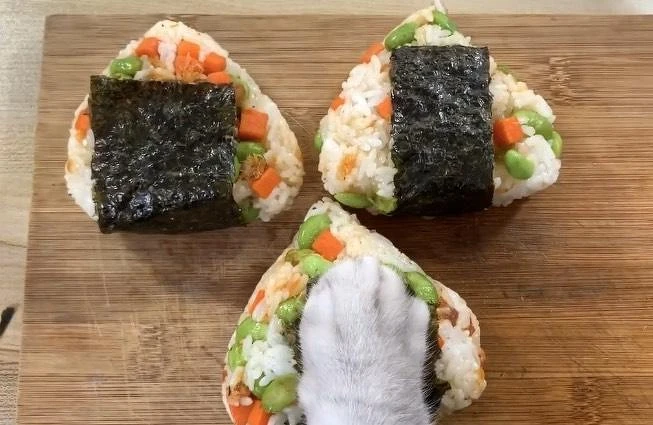 料理貓王@小紅書