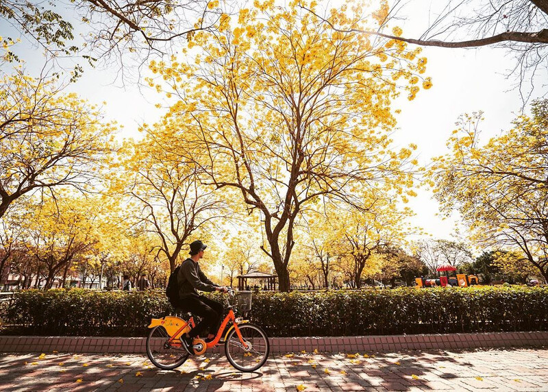 圖片來源：instagram｜chun_vision