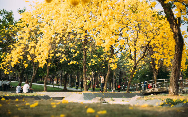 圖片來源：flickr｜chia ying Yang