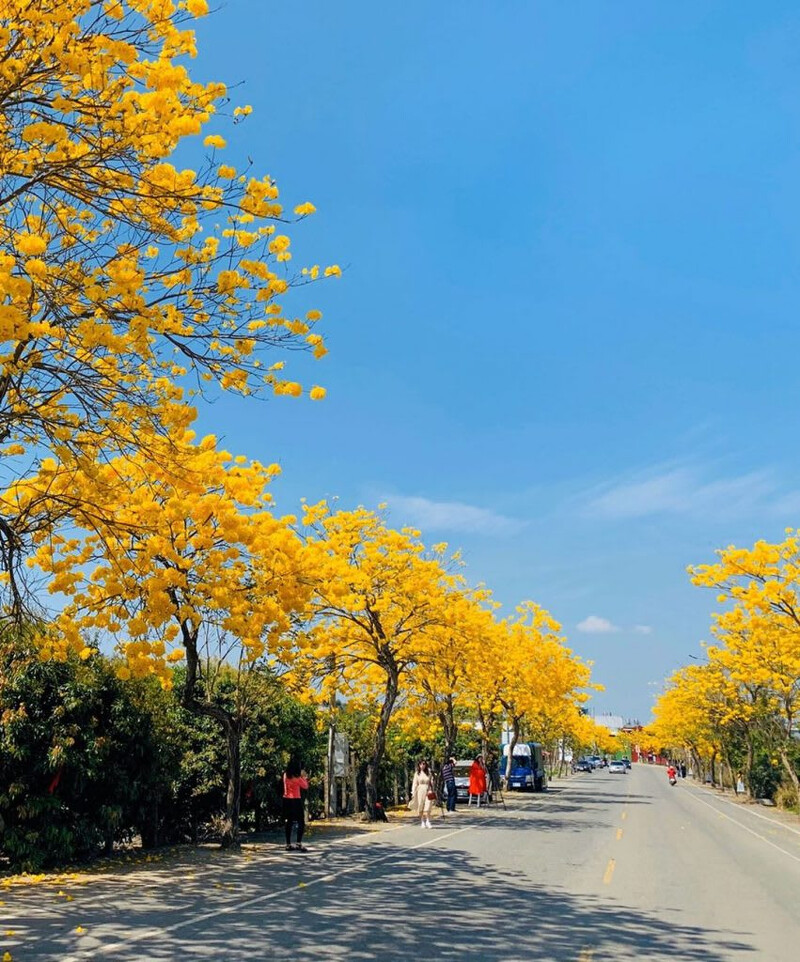 圖片來源：instagram｜taiwan_gooo_oood