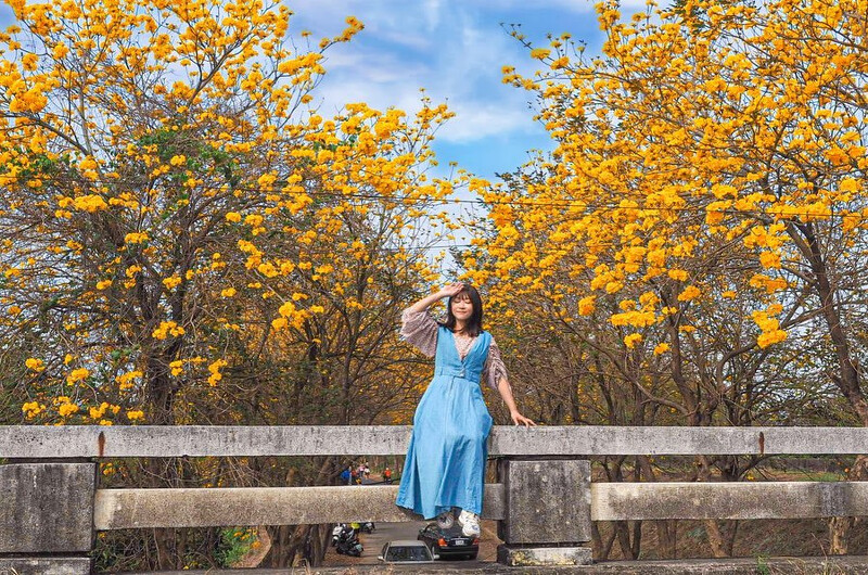 圖片來源：instagram｜doreen_share