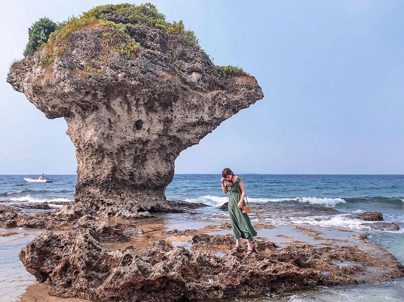 圖片來源: instagram @ha_dala 圖片來源: instagram @ha_dala