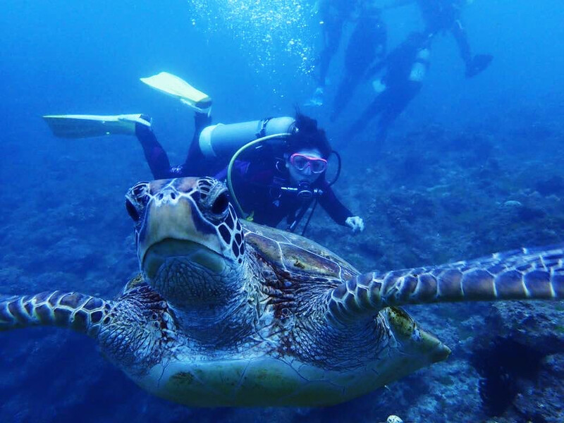 圖片來源: instagram @belle.930.89 圖片來源: instagram @belle.930.89