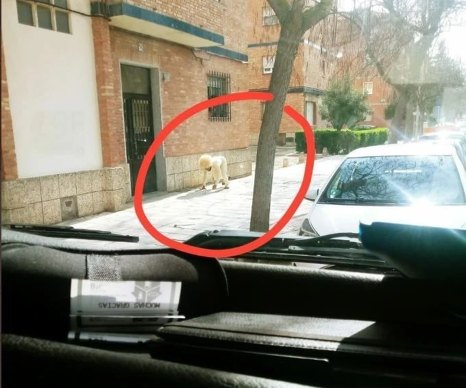 Photo / Twitter Photo / Twitter