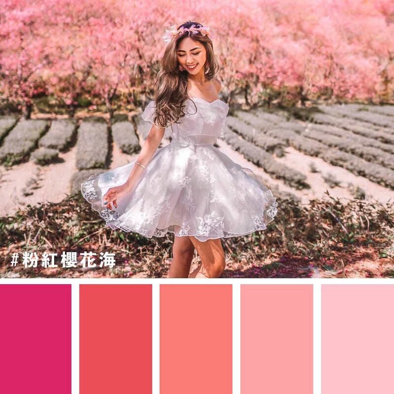 圖片來源:instagram|@ooo_lin_ooo 圖片來源:instagram|@ooo_lin_ooo