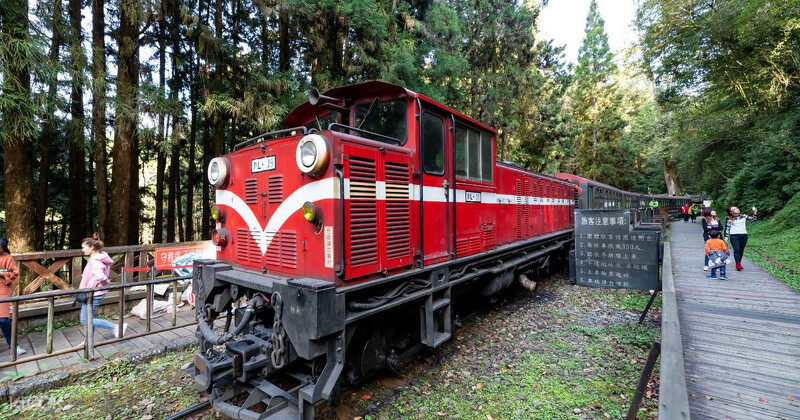 阿里山森林小火車 阿里山森林小火車