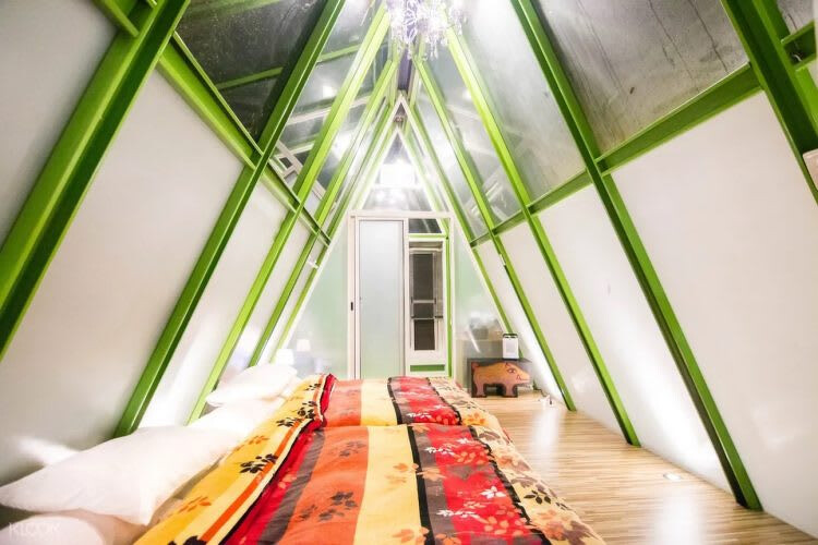 阿里山露營帳棚的透明屋頂可以仰望星空 阿里山露營帳棚的透明屋頂可以仰望星空