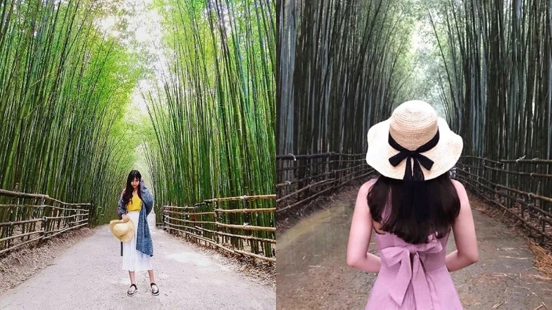Photo/IG @lovelife0958、IG @coralland Photo/IG @lovelife0958、IG @coralland