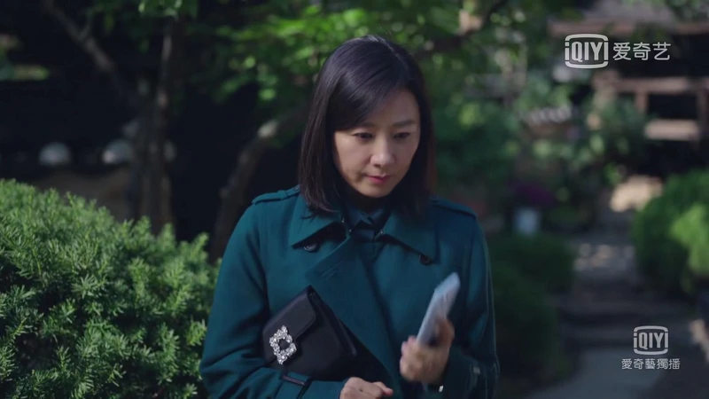 Photo／翻攝愛奇藝