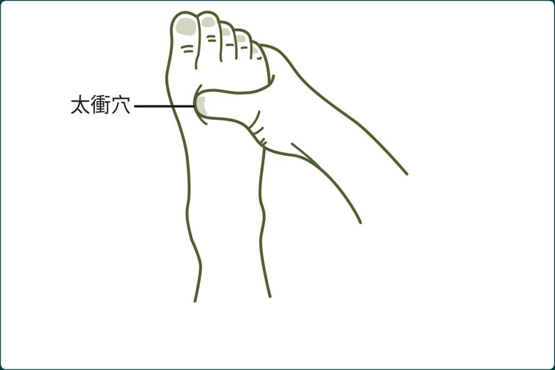 足背上的「太衝穴」是止怒點,有助於瀉肝火。 足背上的「太衝穴」是止怒點,有助於瀉肝火。