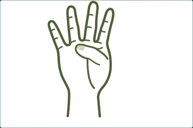 手掌上的「止火點」,在無名指下方。 手掌上的「止火點」,在無名指下方。