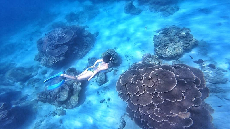 潛入忘憂島的海域一覽美麗的珊瑚礁。圖片來源:IG @im_zoey0731授權 潛入忘憂島的海域一覽美麗的珊瑚礁。圖片來源:IG @im_zoey0731授權