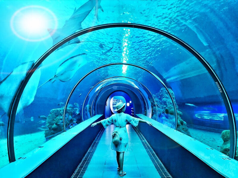 圖片來源:instagram @gominkin 圖片來源:instagram @gominkin