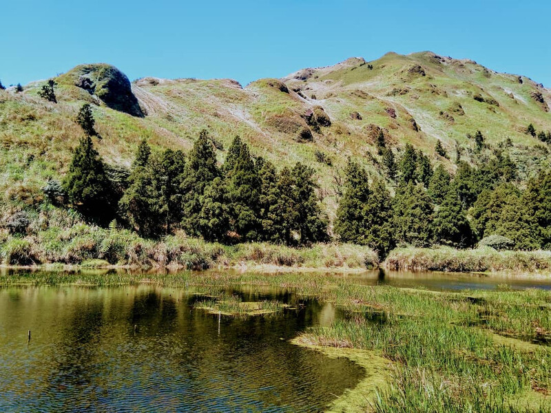 圖片來源：特有生物研究保育中心 IG @papilioshih 授權