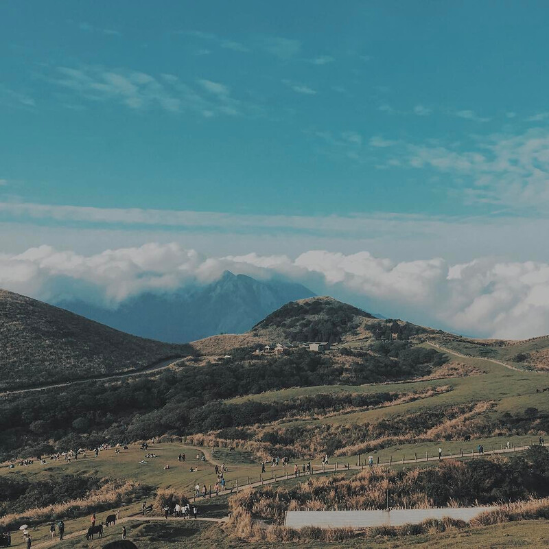 擎天崗一景。圖片來源： IG @6.25.7___ 授權