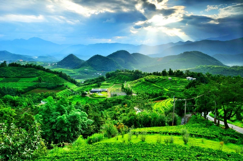 「貓囒山步道」景緻 「貓囒山步道」景緻