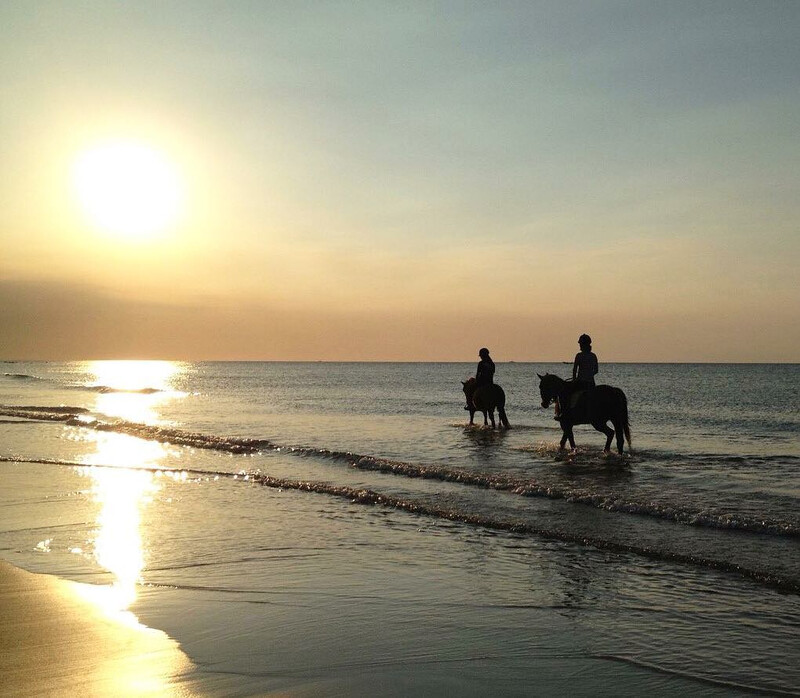 Source: IG @luye.equestrian.center 授權KLOOK轉載 Source: IG @luye.equestrian.center 授權KLOOK轉載