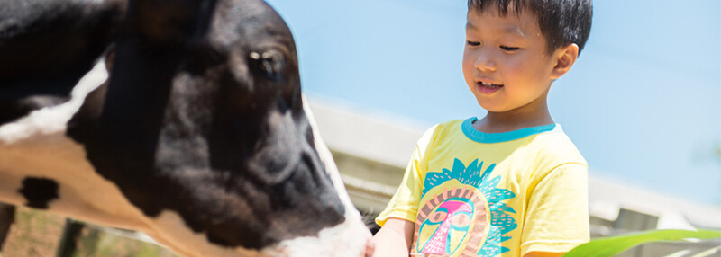 圖片來源:埔心農場 授權KLOOK轉載 圖片來源:埔心農場 授權KLOOK轉載