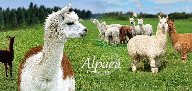 圖片來源:淨園機場農場 授權KLOOK轉載 圖片來源:淨園機場農場 授權KLOOK轉載