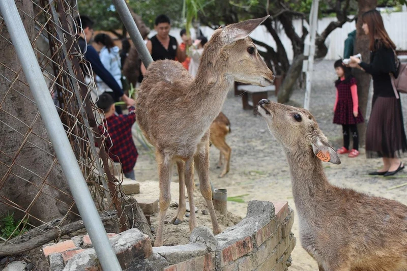 圖片來源:KLOOK 圖片來源:KLOOK