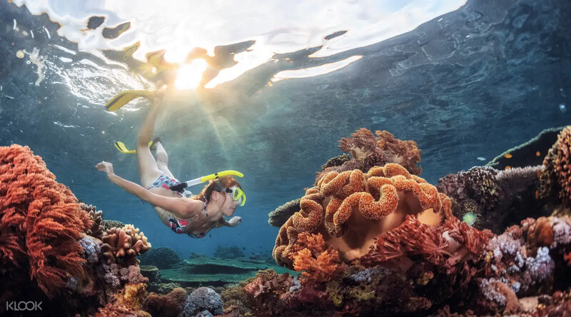 前往墾丁獨有平台式潛水,探索綺麗海底世界。Source: KLOOK 前往墾丁獨有平台式潛水,探索綺麗海底世界。Source: KLOOK