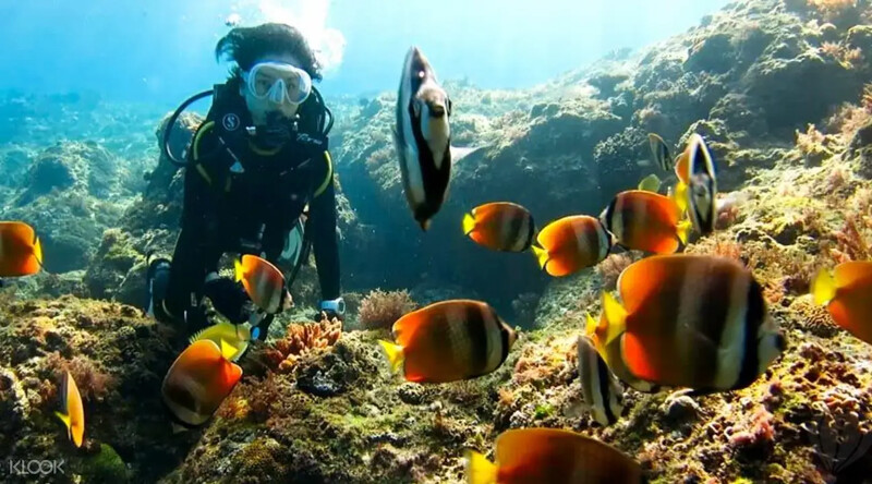 在小琉球體驗水中無重力的自由漂浮感,盡情欣賞豐富海洋生態。Source: KLOOK 在小琉球體驗水中無重力的自由漂浮感,盡情欣賞豐富海洋生態。Source: KLOOK