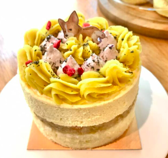 Photo/奶油先生Mr. Butter Café 