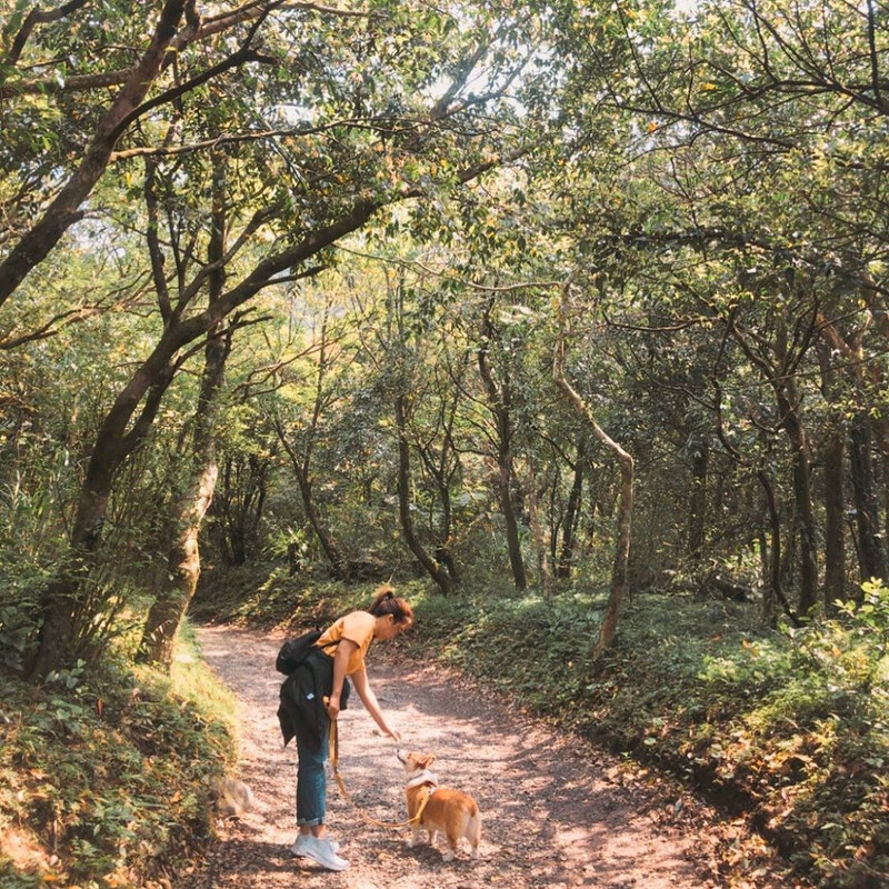 Source: IG @28.ning 授權KLOOK轉載