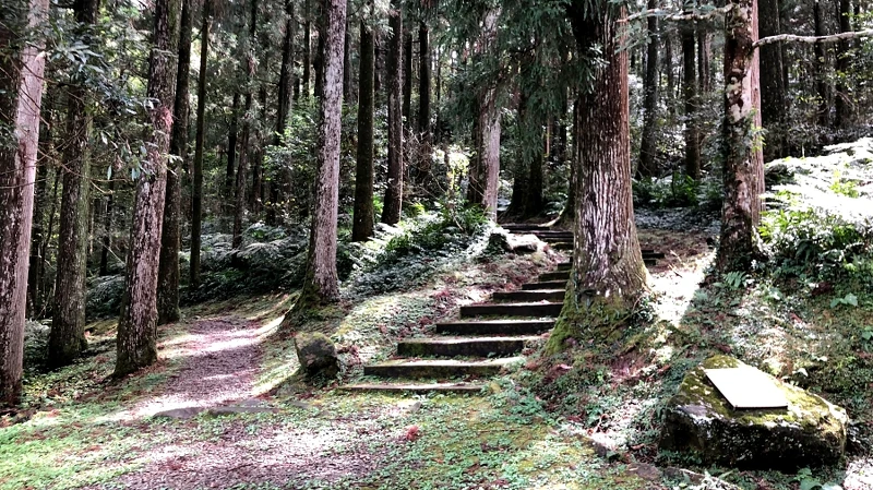 東眼山國家森林遊樂區 東眼山國家森林遊樂區