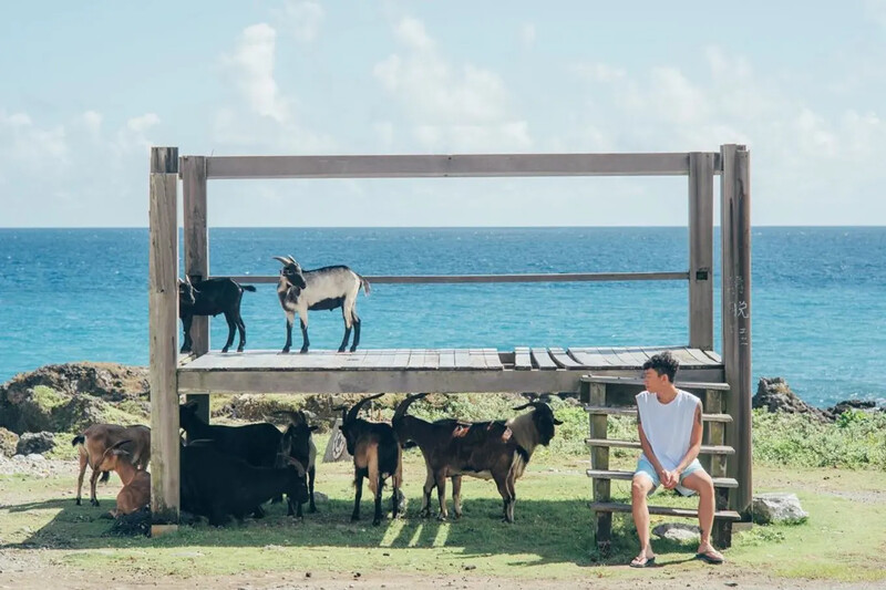 蘭嶼野銀部落。圖片來源：instagram @w__8.11