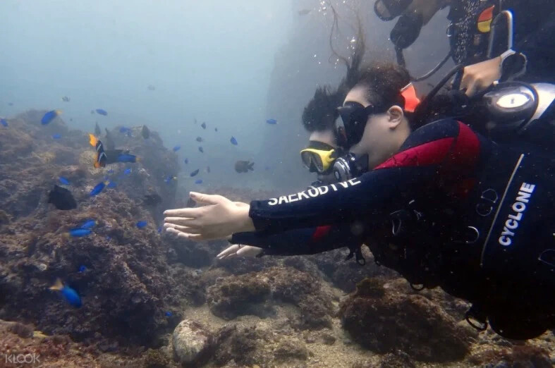 東北角四季灣體驗潛水。Source: KLOOK