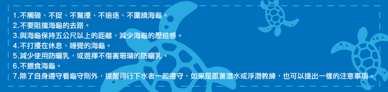 看龜守則。Source: Klook