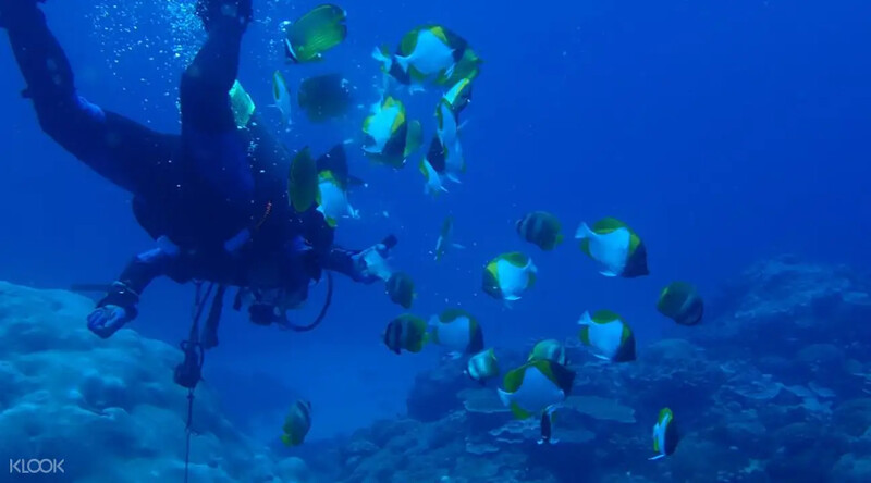綠島潛水行程。Source：KLOOK