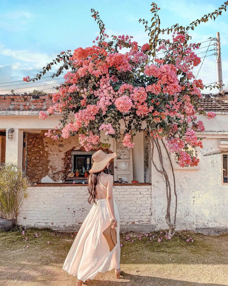 圖片來源：Instagram @weiwei8012 授權KLOOK轉載