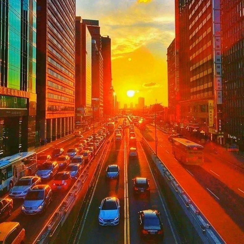 Photo/IG@lovetwandjapan授權提供 Photo/IG@lovetwandjapan授權提供