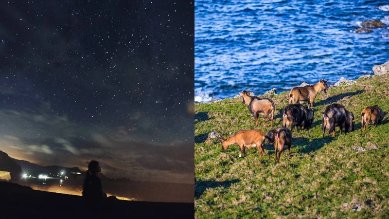 Photo/IG@hellocinyun、東部海岸國家風景區 Photo/IG@hellocinyun、東部海岸國家風景區