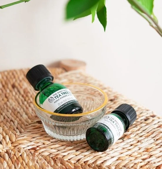 天然茶樹精油$480/10ml,$880/20ml 天然茶樹精油$480/10ml,$880/20ml