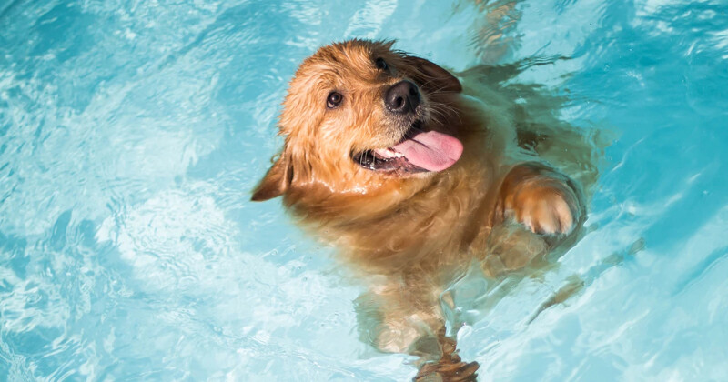 Source: Marcia Soligo on Unsplash