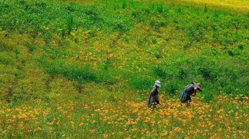 Source: Instagram @justin085671 授權KLOOK轉載 Source: Instagram @justin085671 授權KLOOK轉載