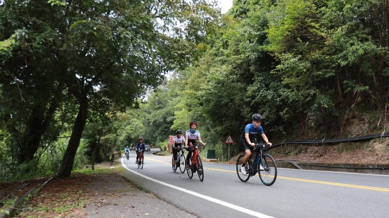 皆會有專業陪騎員帶領與壓隊