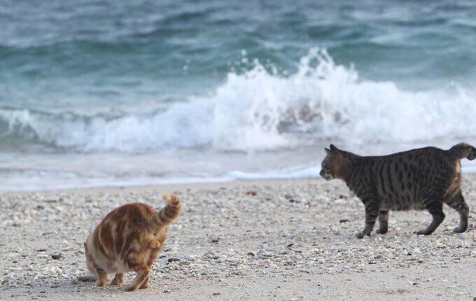 Source: IG @palin_pggy 授權KLOOK轉載 Source: IG @palin_pggy 授權KLOOK轉載