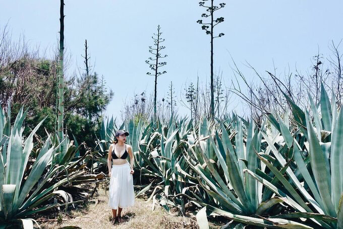 Source: IG @vvncvvnc 授權KLOOK轉載 Source: IG @vvncvvnc 授權KLOOK轉載