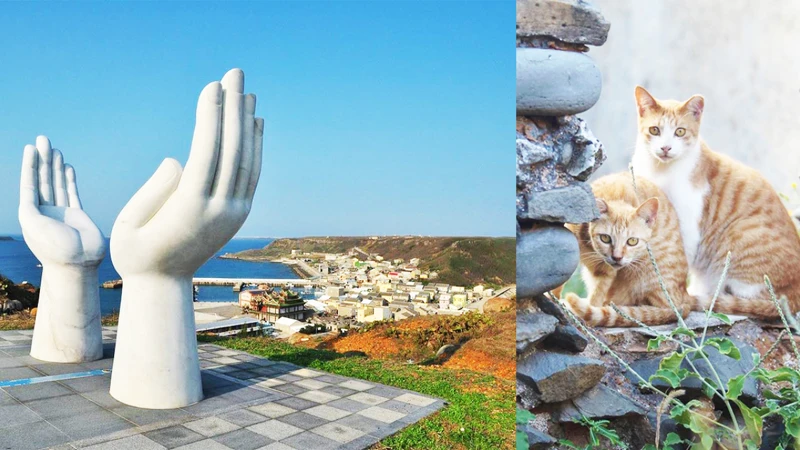 Source: IG @dreamsailing_penghu、@palin_pggy 授權KLOOK轉載 Source: IG @dreamsailing_penghu、@palin_pggy 授權KLOOK轉載